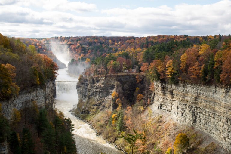 How to Choose the Right New York State Park for Your Next Getaway